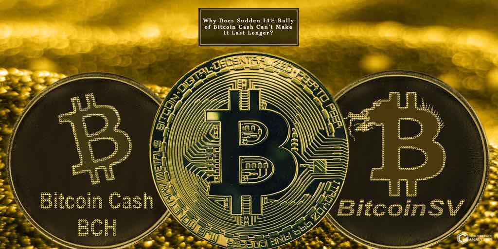bitcoin Cash bsv btc