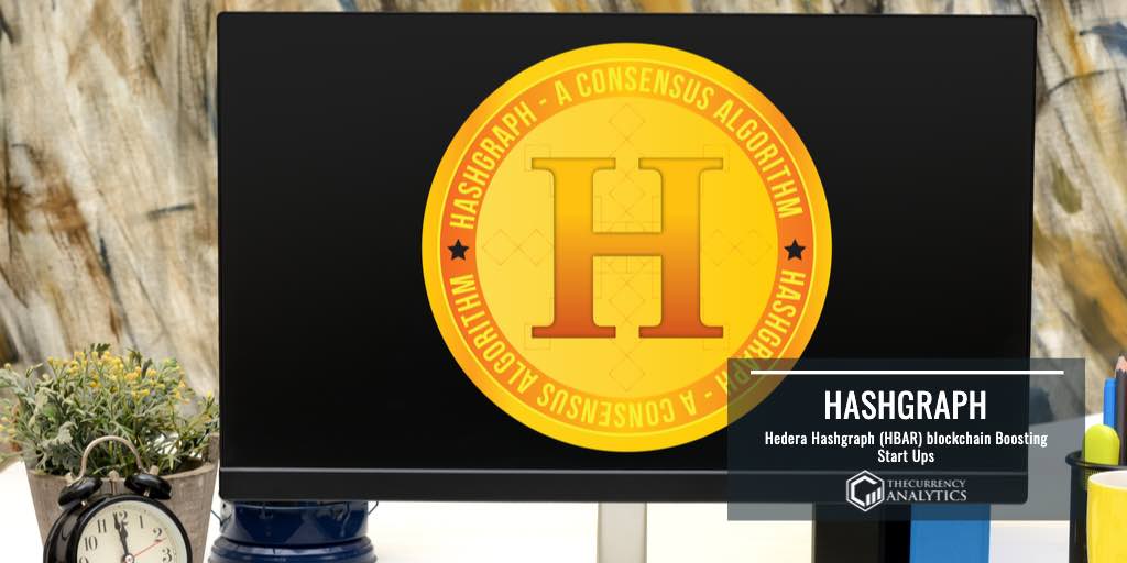 hashgraph hedera blockchain HBAR