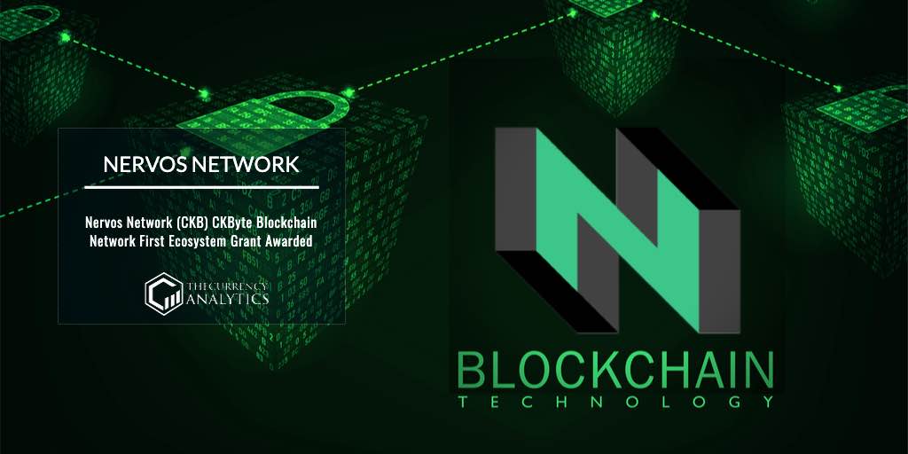 Network Blockchain NEtwork CKB