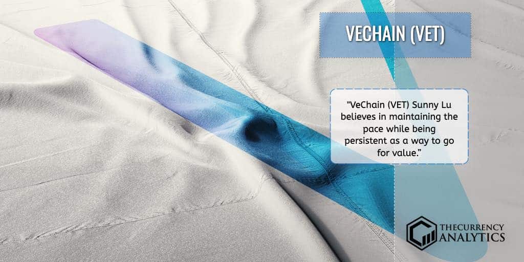 Vechain Vet blockchain health space