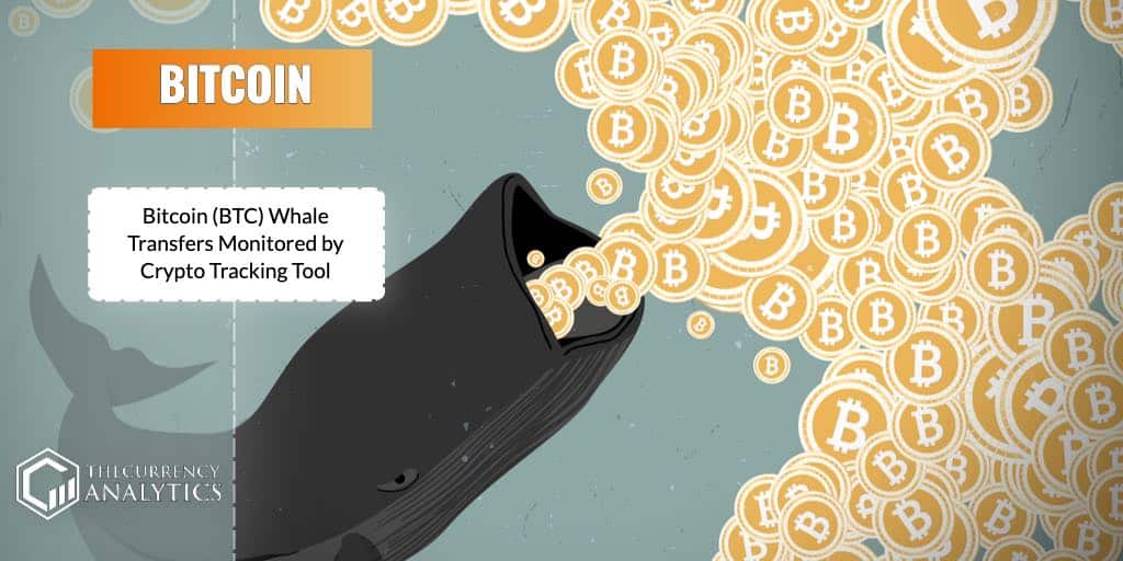 bitcoin whale btc crypto tracking