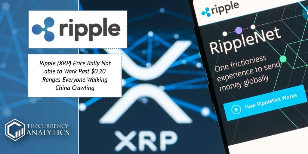 Ripple Net XRP
