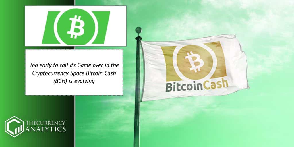 bitcoin Cash BCH cryptocurrency Space