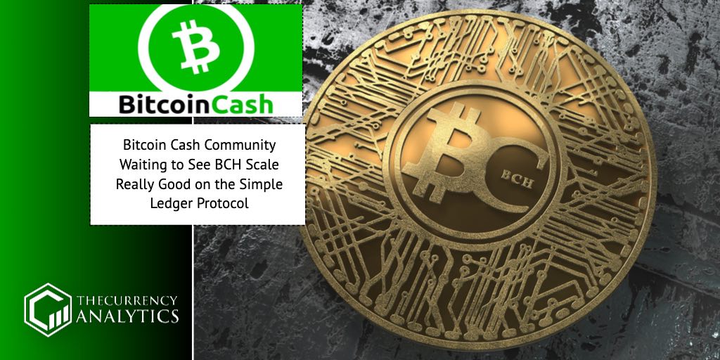 bitcoin cash ledger protocol