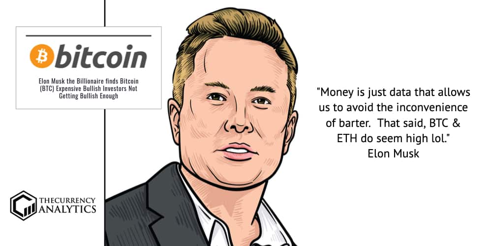 Elon musk bitcoin do seem high