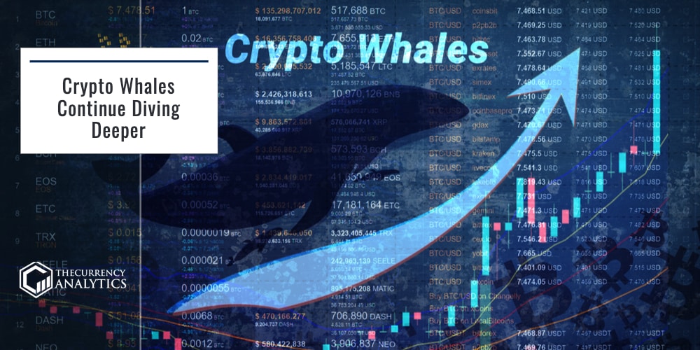 Crypto Whales Diving Deeper