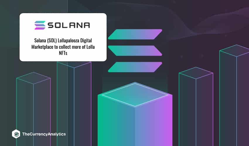 Solana Sol Lollapalooza Digital Marketplace To Collect More Of Lolla Nfts