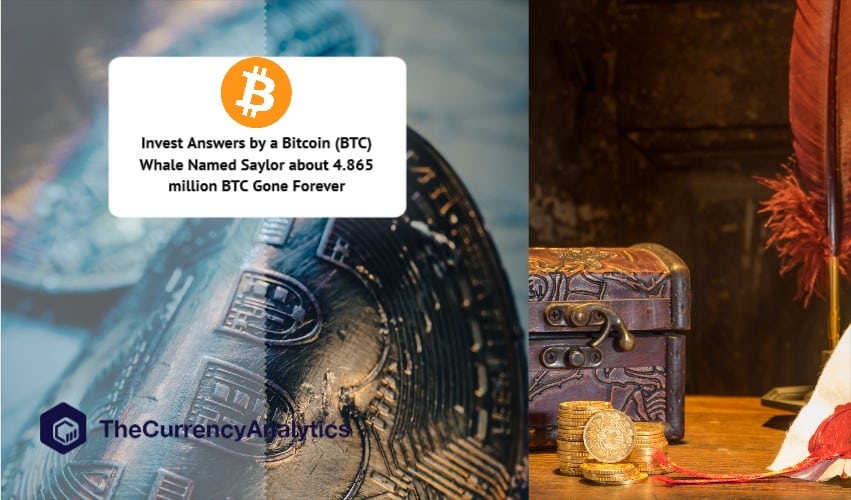 Invest Answers by a Bitcoin (BTC) Whale Named Saylor about 4.865 million BTC Gone Forever