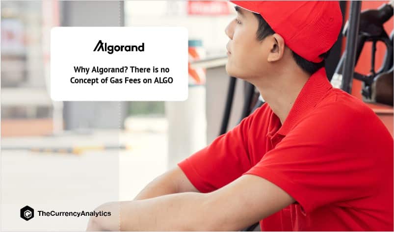 Why Algorand There is no Concept of Gas Fees on ALGO