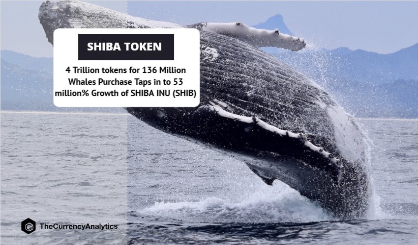4 Trillion tokens for 136 Million Whales Purchase Taps in to 53 million% Growth of SHIBA INU (SHIB)