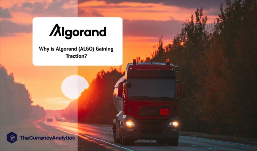 Why is Algorand (ALGO) Gaining Traction