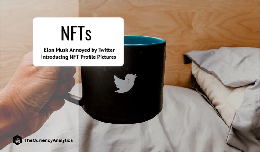 Elon Musk Annoyed by Twitter Introducing NFT Profile Pictures