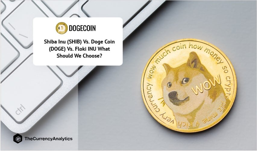 Shiba Inu (SHIB) Vs. Doge Coin (DOGE) Vs. Floki INU What Should We Choose