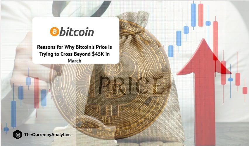 Reasons for Why Bitcoin's Price Is Trying to Cross Beyond $45K in March