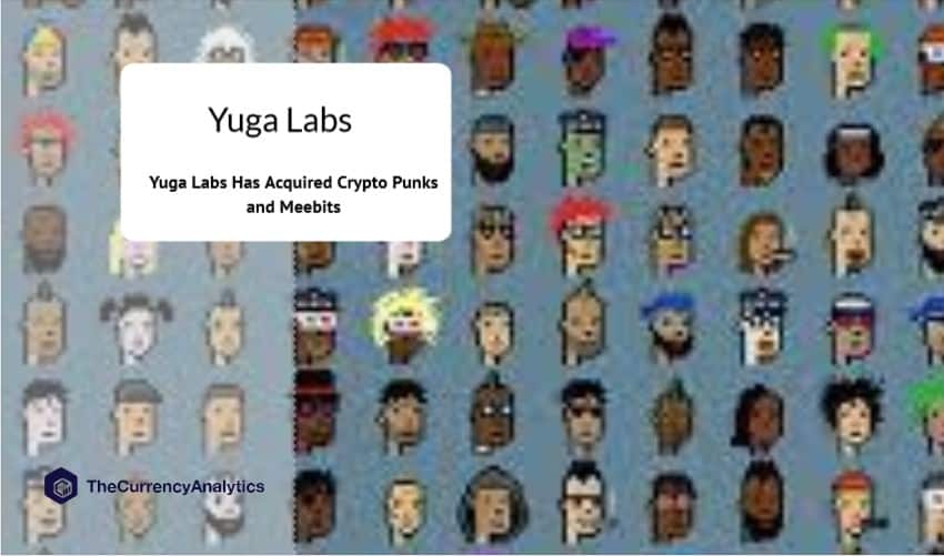Yuga Labs Has Acquired Crypto Punks and Meebits