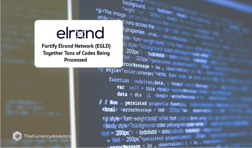 Fortify Elrond Network (EGLD) Together Tons of Codes Being Processed