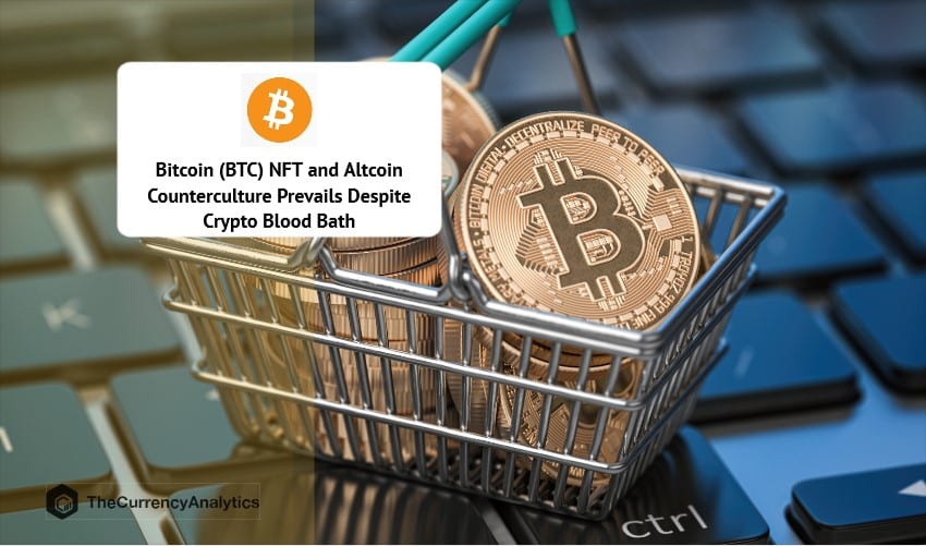Bitcoin (BTC) NFT and Altcoin Counterculture Prevails Despite Crypto Blood Bath